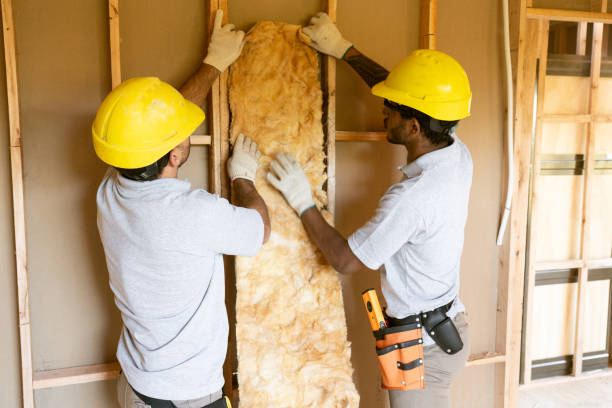 Best Attic Insulation Near Me  in Star City, WV