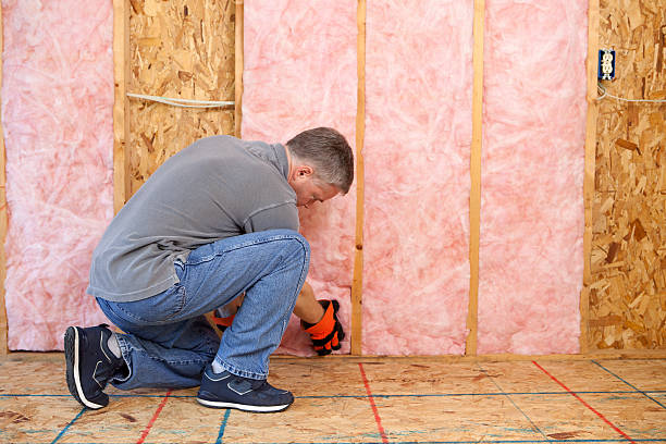 Best Insulation Contractors for Homes  in Star City, WV