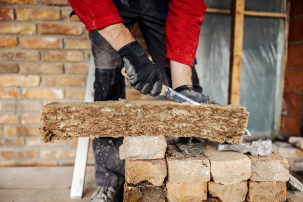 Best Best Insulation Companies  in Star City, WV